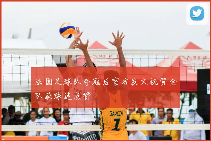 法国足球队夺冠后官方发文祝贺全队获球迷点赞