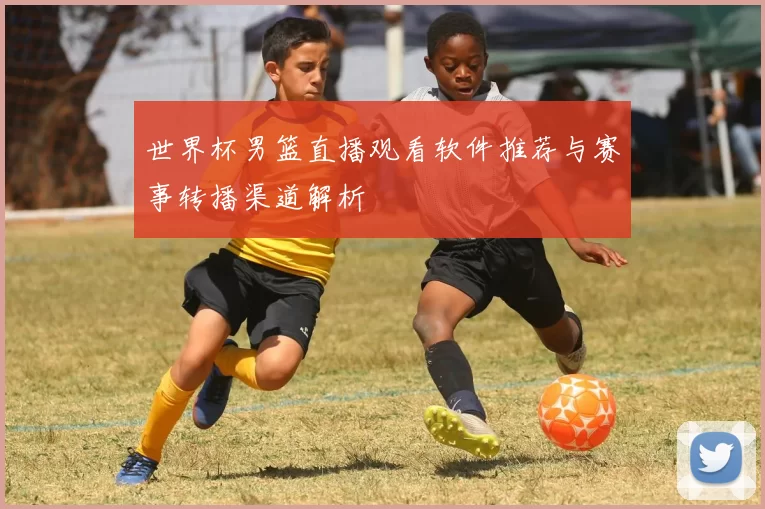 世界杯男篮直播观看软件推荐与赛事转播渠道解析