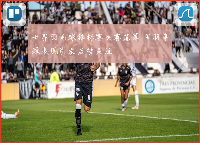 世界羽毛球锦标赛决赛落幕 国羽争冠表现引发后续关注